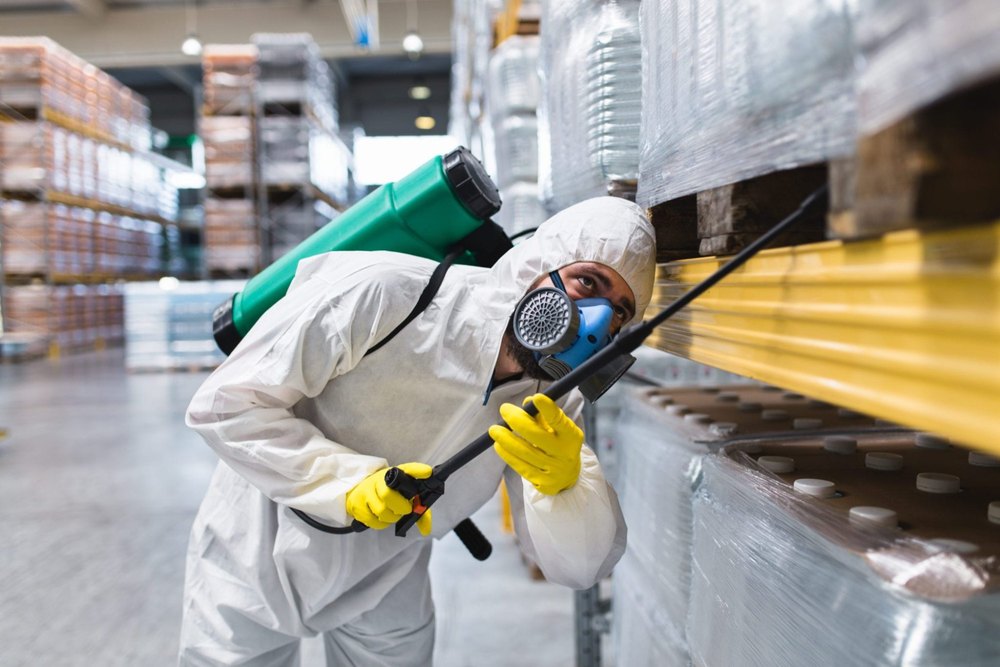 Lizard Pest Control Service