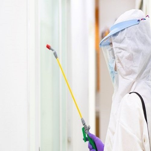 Lizard Control Services