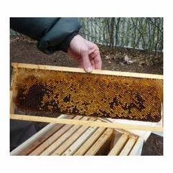 Honeycomb Treatment Service