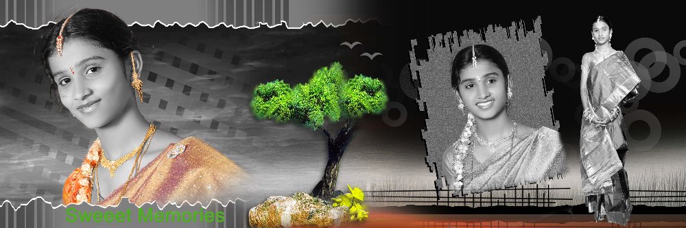 Rajahamsa Wedding Album Designing Service