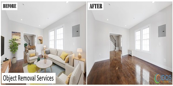 Object Removal Service
