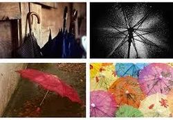 Still Photography & Art Direction Services