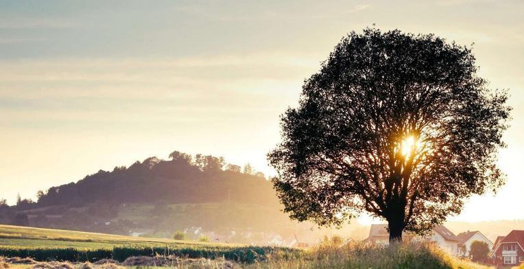 Landscape Photography