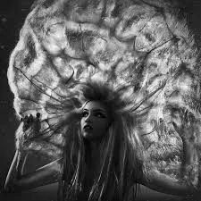 Fine Art Photography