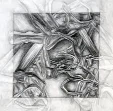 Drawing Portfolios