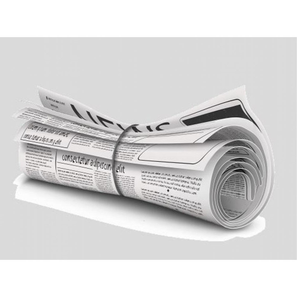Newspaper Advertisement Service