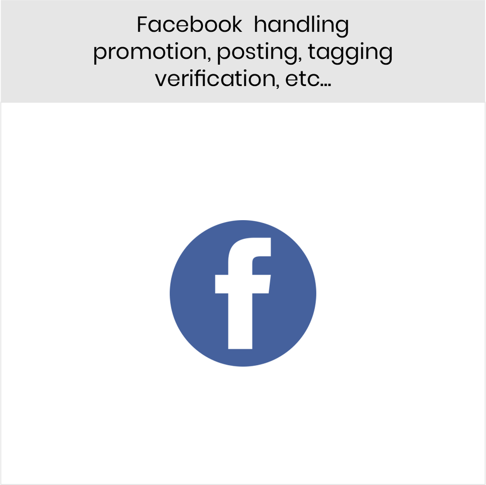 Facebook Promotion Service, Business Industry Type: Promotional Agency, Immediate