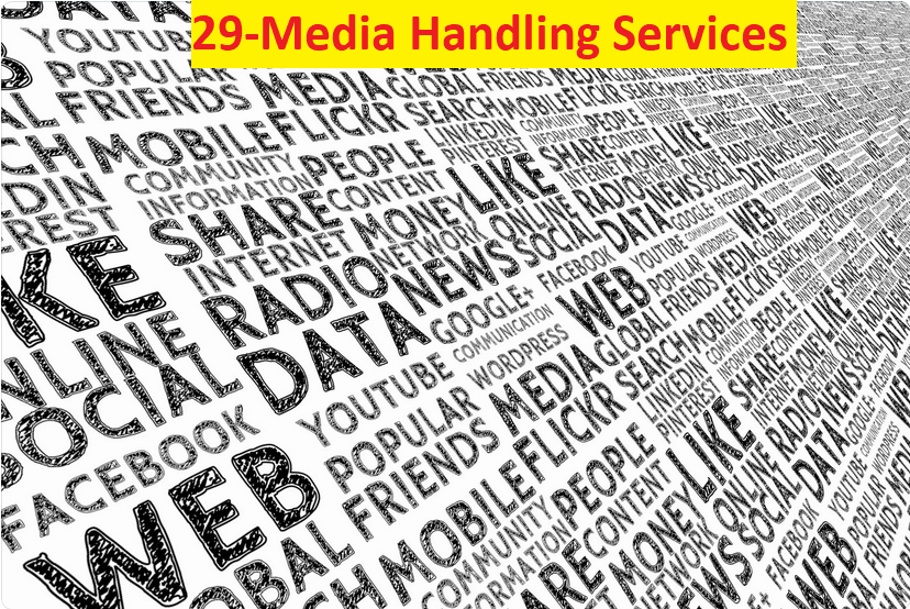 Media Handling Services