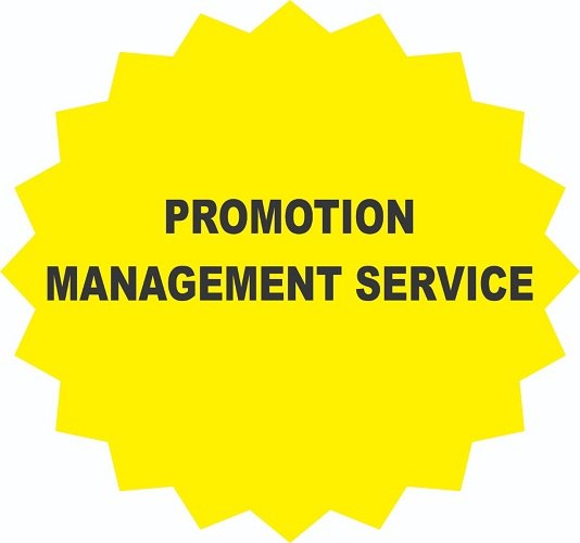 Available On Request Online And Offline Advertisement Management Service, Promotion, Pan India