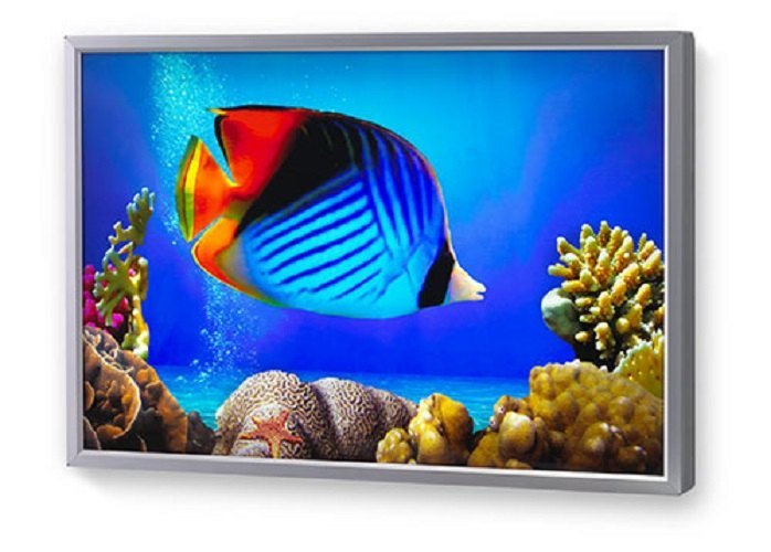 Backlit Advertising Board
