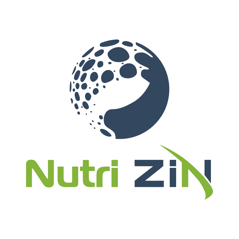 2D Logo Design services