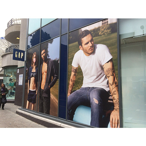 Offline One Way Vision Branding, in Pan India