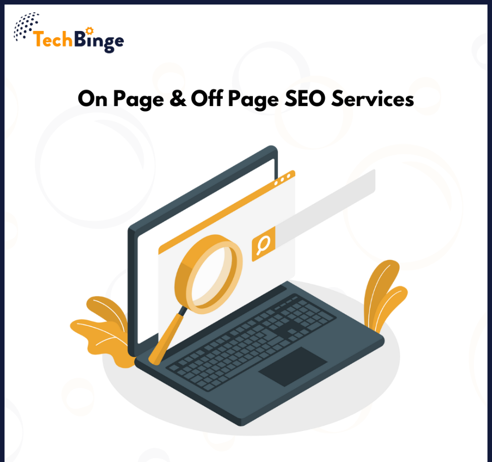 It Static Or Dynamic On Page & Off Page SEO Services, in Pan India