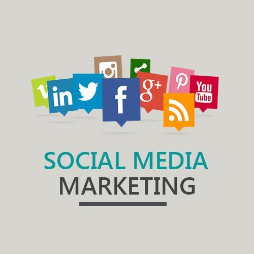 SEO Google Adwords Services, Business Industry Type: E Commerce