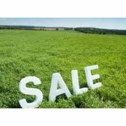 Land Promoters