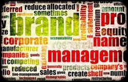 Online Brand Management
