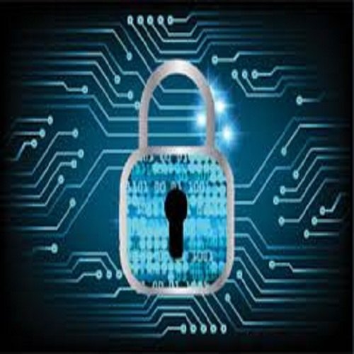 Brand Protection Services