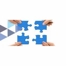 Brand Valuation Services