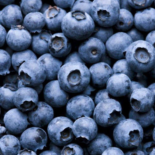 Frozen Blueberry