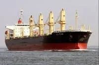 Dry Bulk Broking