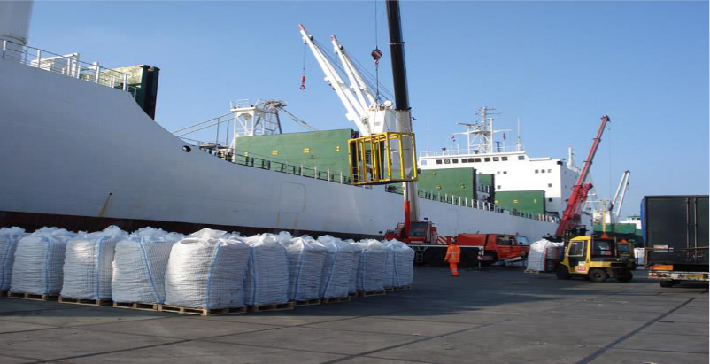 Stevedoring Services