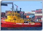 Stevedoring & Vessel Operations Activities For Bulk Cargo &