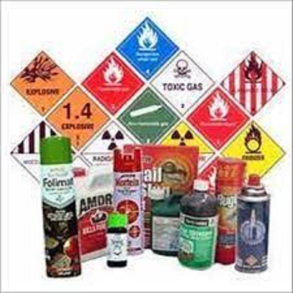 International Dangers Goods Services From Delhi NCR