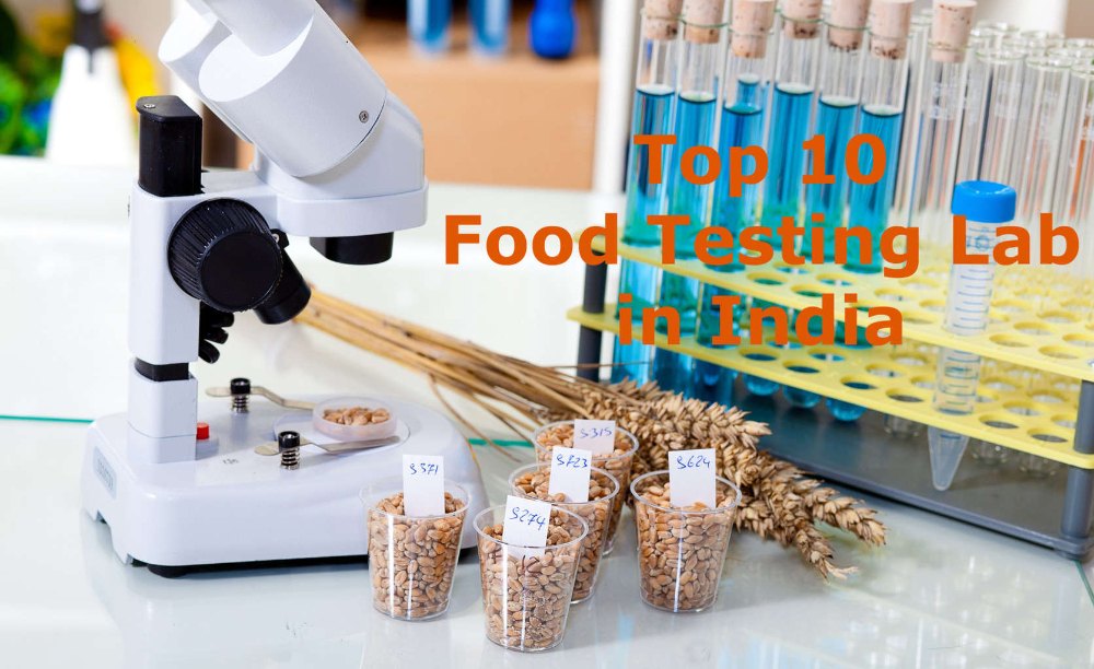 Wheat Testing Service