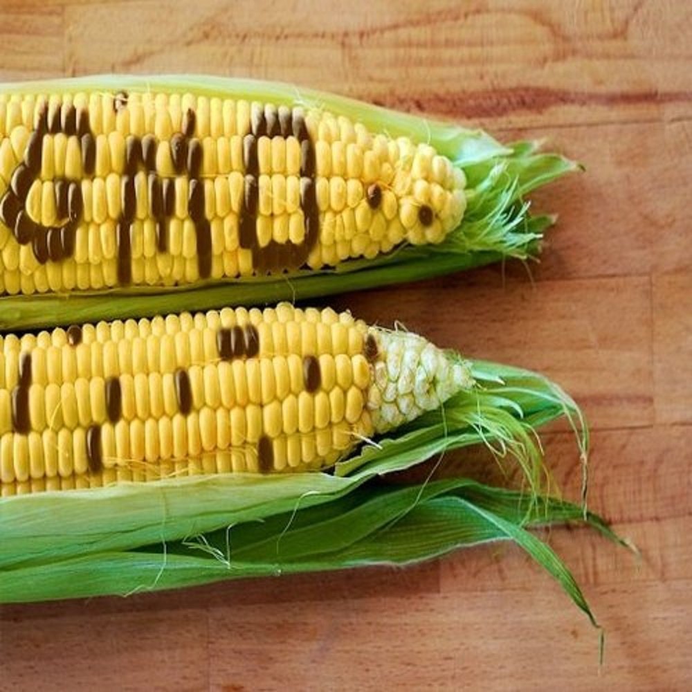 In House GMO Testing Service, Analysis Type: Physical/Chemical Properties, Pan India