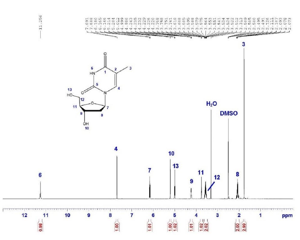 Techinstro NMR Characterization Analysis