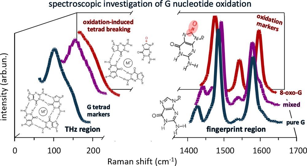 Nagpur Raman Characterization Service