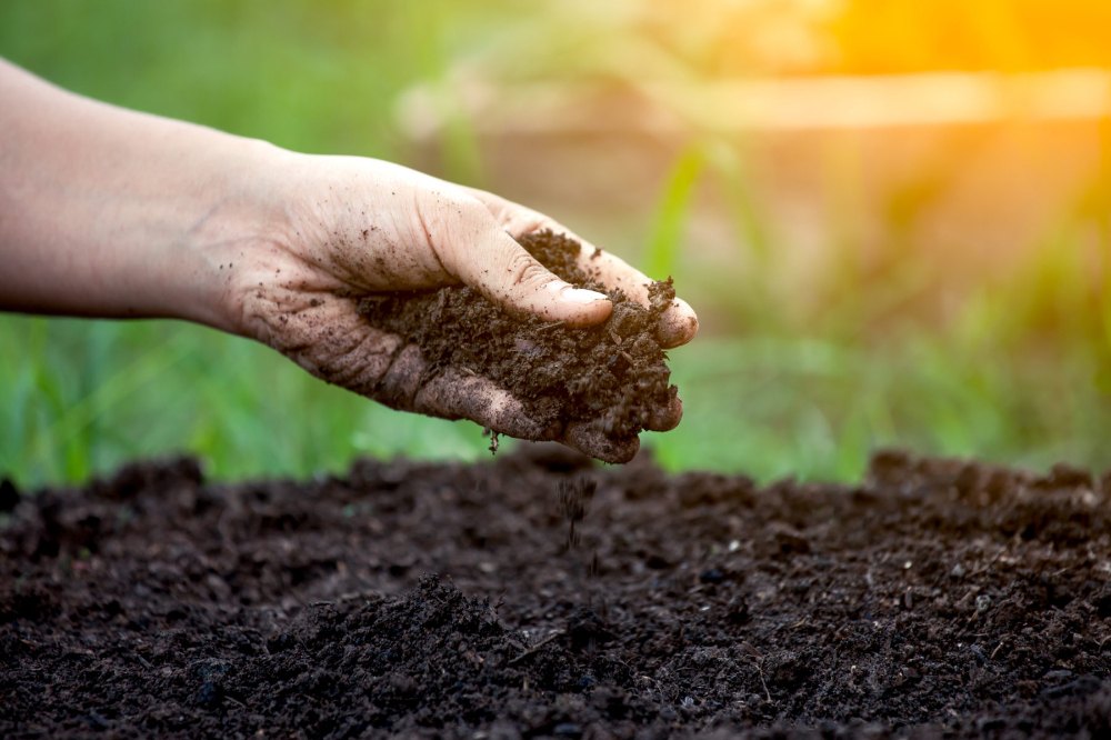 Chemical Analysis Minerals & Ores Manure Testing Services, Agriculture purpose