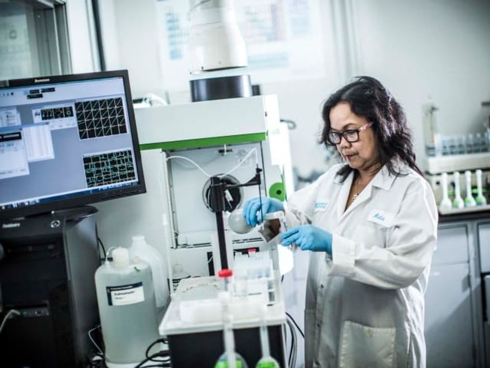 Admixture Testing Service