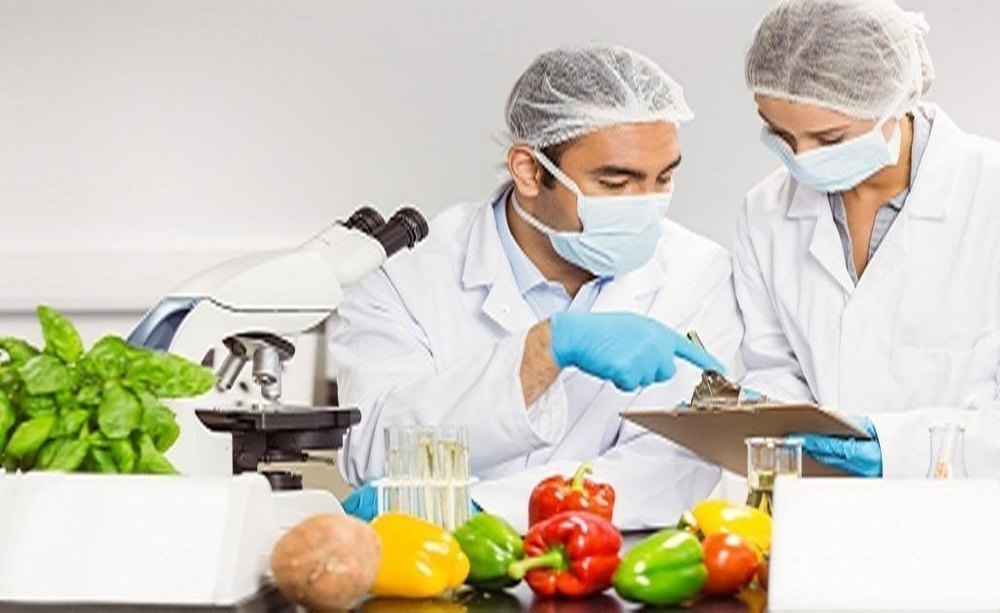 Food & Pharma Testing, in Laboratory, Near By Mumbai