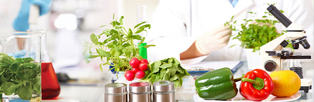 Chemical Food Testing Service