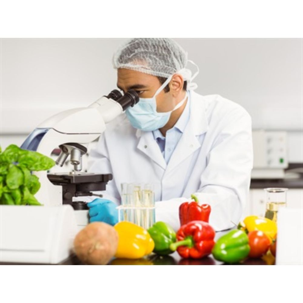 Food Testing Services