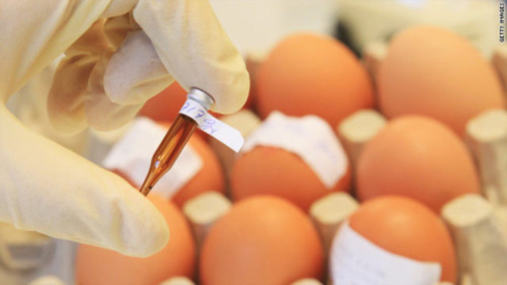 Nutritional Egg Testing Service, Analysis Type: Micro Structural Analysis, Pan India