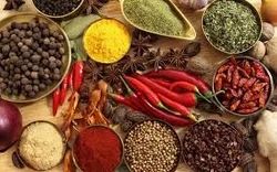 Dairy Units Nutritional Food & Food Products Testing Services, In House Laboratory, Delhi