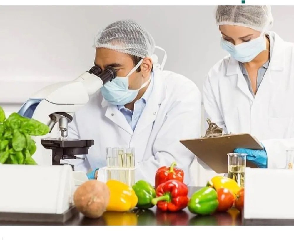 Food Testing Service, India