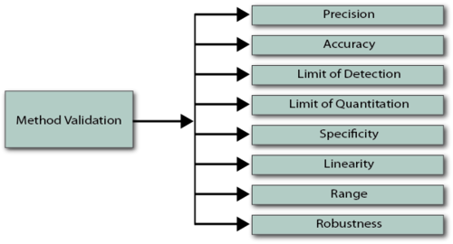 Analytical Method Validation