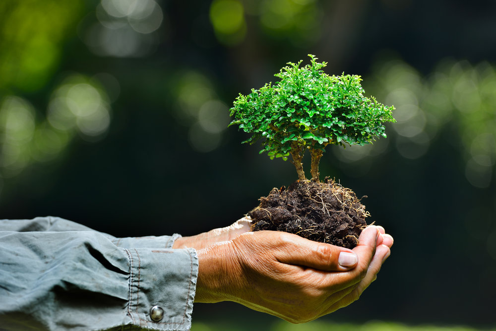 Environmental Testing Service