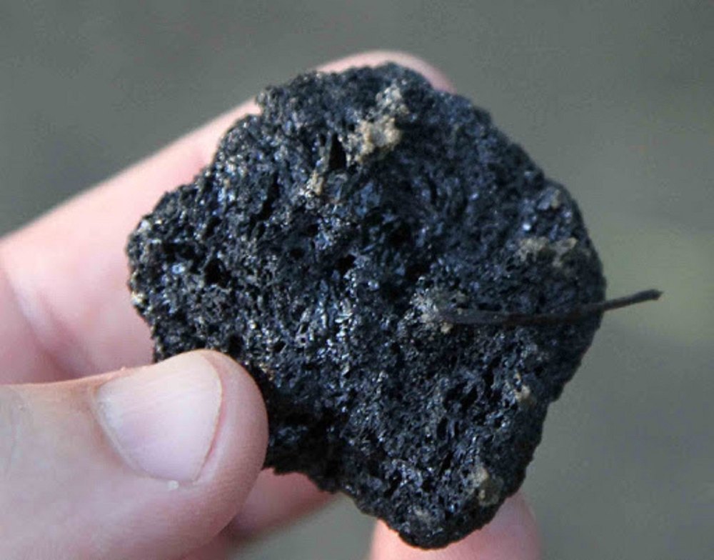 Coal Testing Service