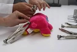 TOY TESTING