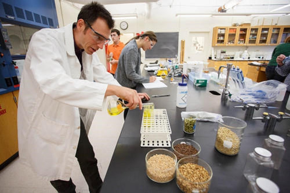 Chemical Food & Beverage Testing Service, In Laboratory, Fssai