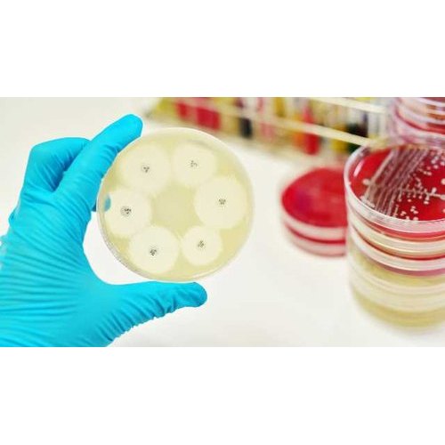 Food Testing Laboratory