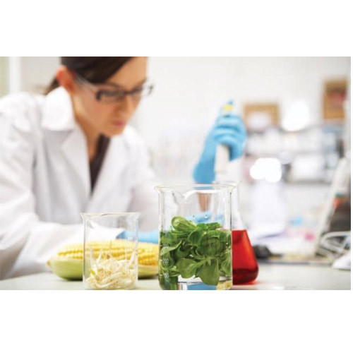 Sensory Testing of Food