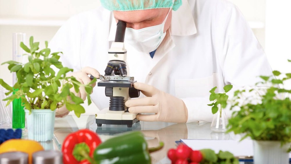 Food Products Testing Laboratory Services