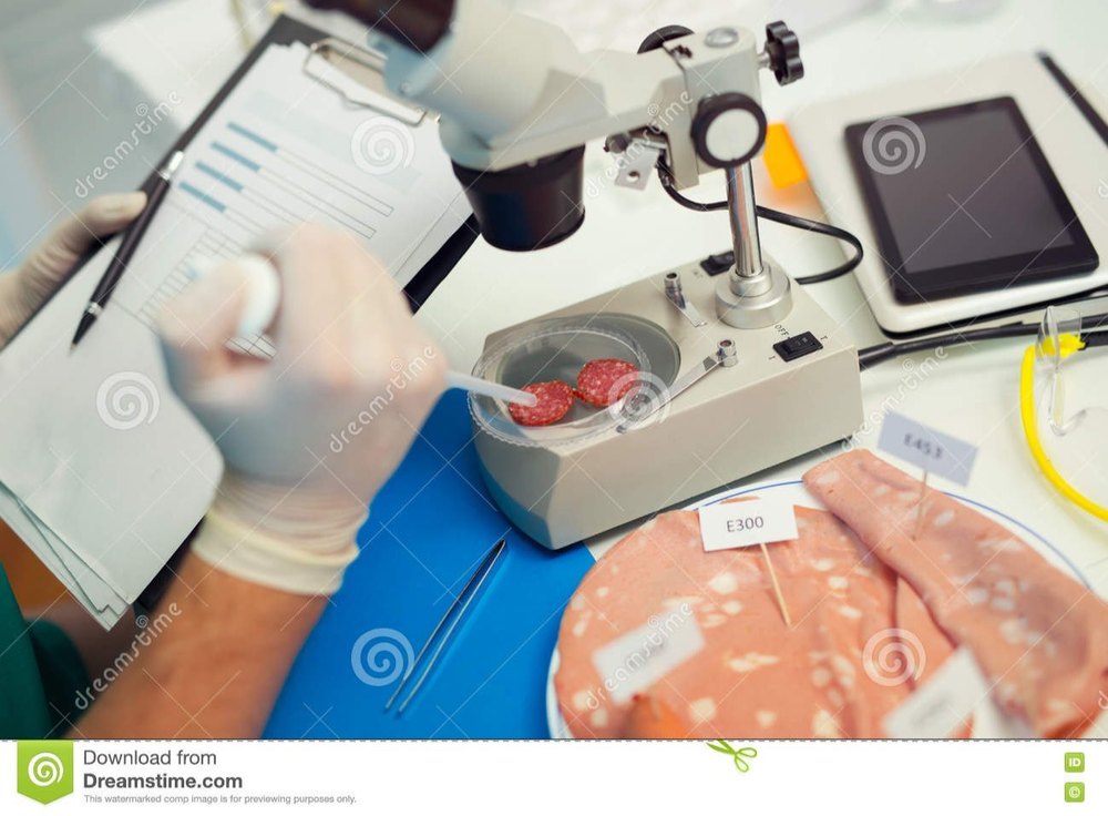 Meat Testing Service, In Laboratory
