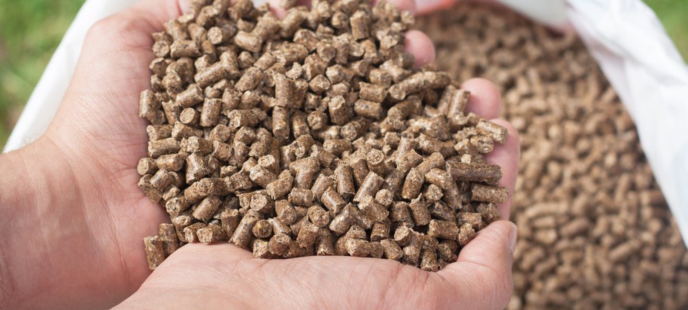 Cattle Feed Testing Services, for Cattle Owners