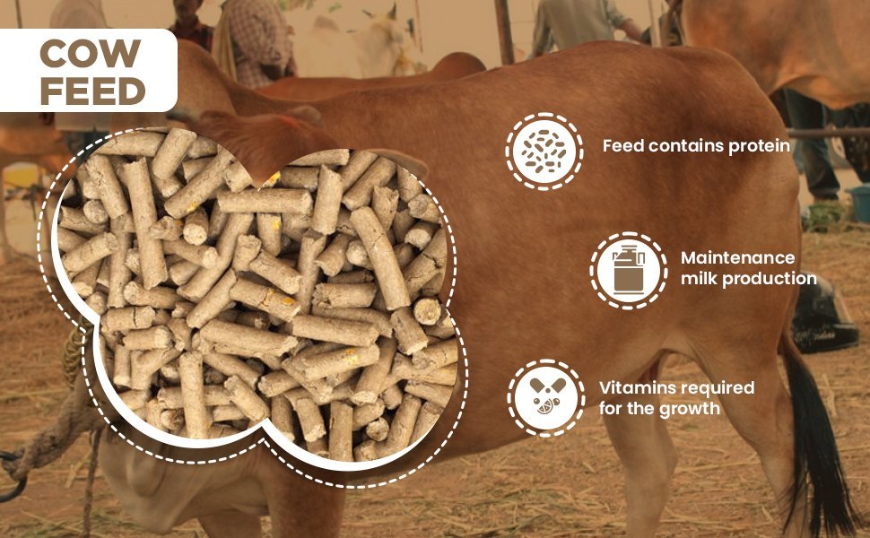 Standard Chemical & Nutritional Cattle Feed Testing Services, In Laboratory, Ghaziabad